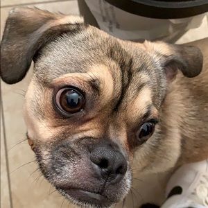 Meet your Posher, Victor